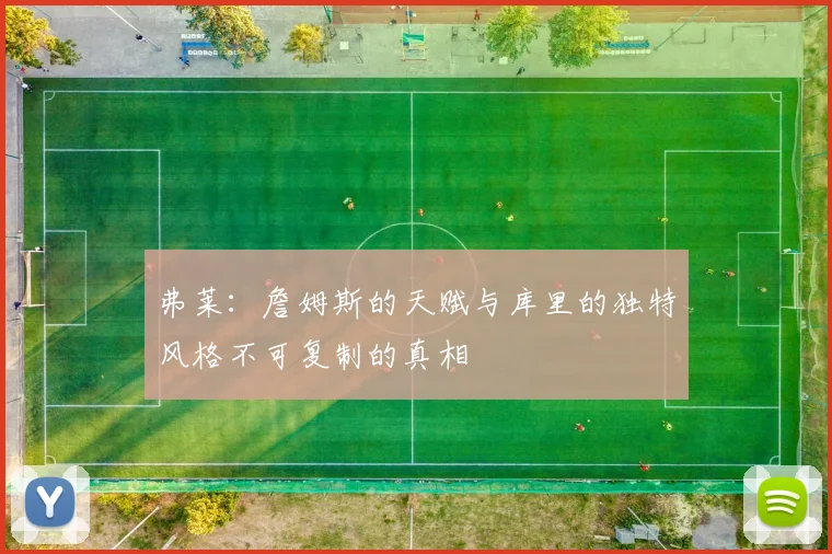 弗莱：詹姆斯的天赋与库里的独特风格不可复制的真相