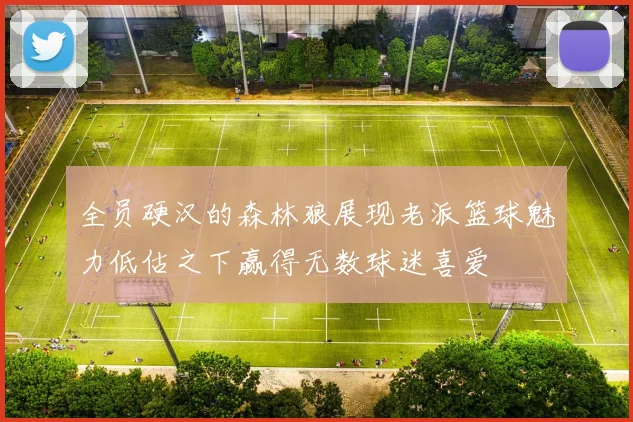 全员硬汉的森林狼展现老派篮球魅力低估之下赢得无数球迷喜爱